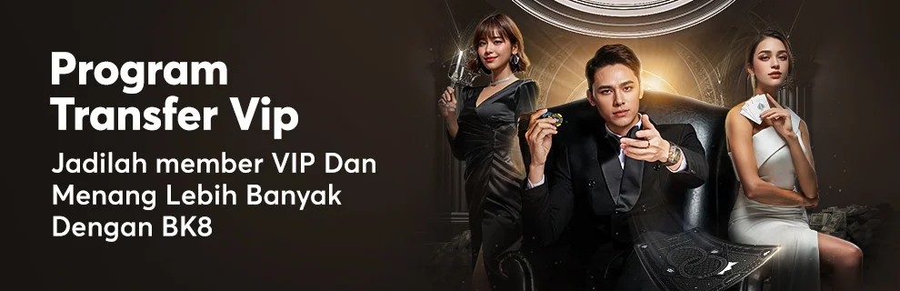 Program Transfer VIP